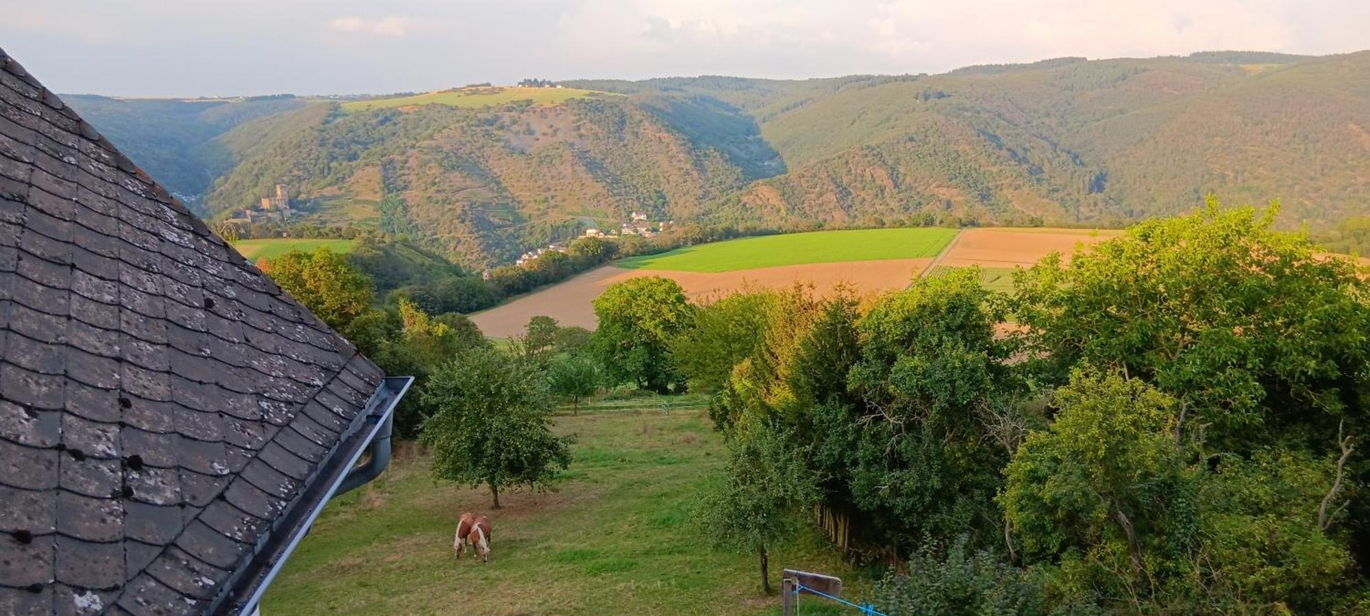 Romantische Ferienwohnung Rheingold 50 Qm Fuer 2 Bis 4 P Bacharach Eksteriør billede